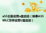 a55主板设置u盘启动（映泰A55MLC怎样设置U盘启动）