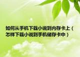 如何从手机下载小说到内存卡上（怎样下载小说到手机储存卡中）