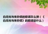白月光与朱砂痣的歌词怎么弹（《白月光与朱砂痣》的歌词是什么）