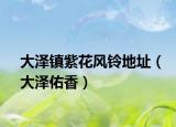 大泽镇紫花风铃地址（大泽佑香）