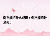 例字能组什么成语（例字能组什么词）