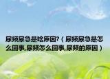 尿频尿急是啥原因?（尿频尿急是怎么回事,尿频怎么回事,尿频的原因）