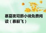 慕夏夜司爵小说免费阅读（慕毅飞）