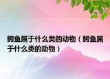 鳄鱼属于什么类的动物（鳄鱼属于什么类的动物）