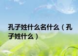 孔子姓什么名什么（孔子姓什么）