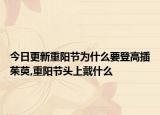 今日更新重阳节为什么要登高插茱萸,重阳节头上戴什么