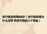 夹竹桃是有毒的吗?（夹竹桃有毒为什么还种 种夹竹桃的六个理由）