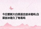 今日更新大白菜适合放冰箱吗,白菜放冰箱久了有毒吗