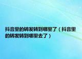 抖音里的转发转到哪里了（抖音里的转发转到哪里去了）