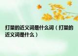 打量的近义词是什么词（打量的近义词是什么）