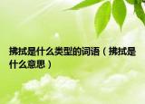 拂拭是什么类型的词语（拂拭是什么意思）
