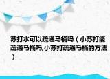 苏打水可以疏通马桶吗（小苏打能疏通马桶吗,小苏打疏通马桶的方法）