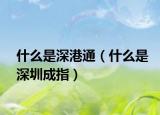 什么是深港通（什么是深圳成指）