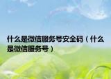 什么是微信服务号安全码（什么是微信服务号）