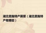 湖北恩施特产蕨菜（湖北恩施特产有哪些）