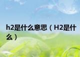h2是什么意思（H2是什么）
