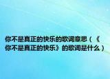 你不是真正的快乐的歌词意思（《你不是真正的快乐》的歌词是什么）
