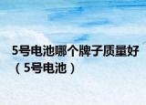 5号电池哪个牌子质量好（5号电池）