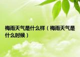 梅雨天气是什么样（梅雨天气是什么时候）