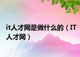 it人才网是做什么的（IT人才网）