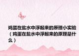 鸡蛋在盐水中浮起来的原理小实验（鸡蛋在盐水中浮起来的原理是什么）