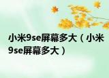 小米9se屏幕多大（小米9se屏幕多大）