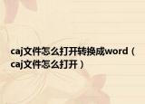 caj文件怎么打开转换成word（caj文件怎么打开）
