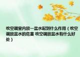 吹空调室内放一盆水起到什么作用（吹空调放盆水的危害 吹空调放盆水有什么好处）