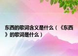 东西的歌词含义是什么（《东西》的歌词是什么）
