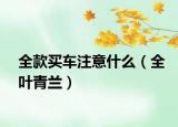全款买车注意什么（全叶青兰）