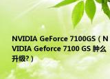 NVIDIA GeForce 7100GS（NVIDIA Geforce 7100 GS 肿么升级?）