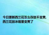 今日更新西兰花怎么存放不变黄,西兰花放冰箱里变黄了