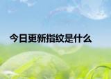 今日更新指纹是什么