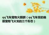 qq飞车宠物火麒麟（qq飞车里的绝版宠物飞火龙的三个形态）