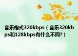 音乐格式320kbps（音乐320kbps和128kbps有什么不同?）