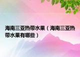 海南三亚热带水果（海南三亚热带水果有哪些）