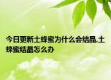 今日更新土蜂蜜为什么会结晶,土蜂蜜结晶怎么办