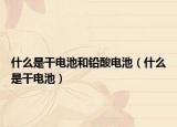 什么是干电池和铅酸电池（什么是干电池）