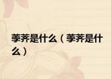 荸荠是什么（荸荠是什么）
