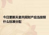 今日更新夫妻共同财产应当按照什么标准分配