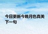 今日更新今晚月色真美下一句