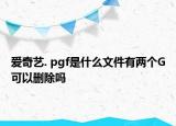 爱奇艺. pgf是什么文件有两个G可以删除吗