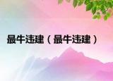 最牛违建（最牛违建）