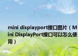 mini displayport接口图片（Mini DisplayPort接口可以怎么使用）