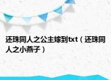 还珠同人之公主嫁到txt（还珠同人之小燕子）