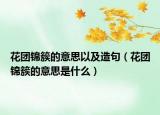 花团锦簇的意思以及造句（花团锦簇的意思是什么）