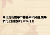 今日更新端午节的由来和风俗,端午节门上挂的那个草叫什么