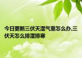 今日更新三伏天湿气重怎么办,三伏天怎么排湿排寒