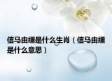 信马由缰是什么生肖（信马由缰是什么意思）