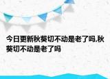 今日更新秋葵切不动是老了吗,秋葵切不动是老了吗